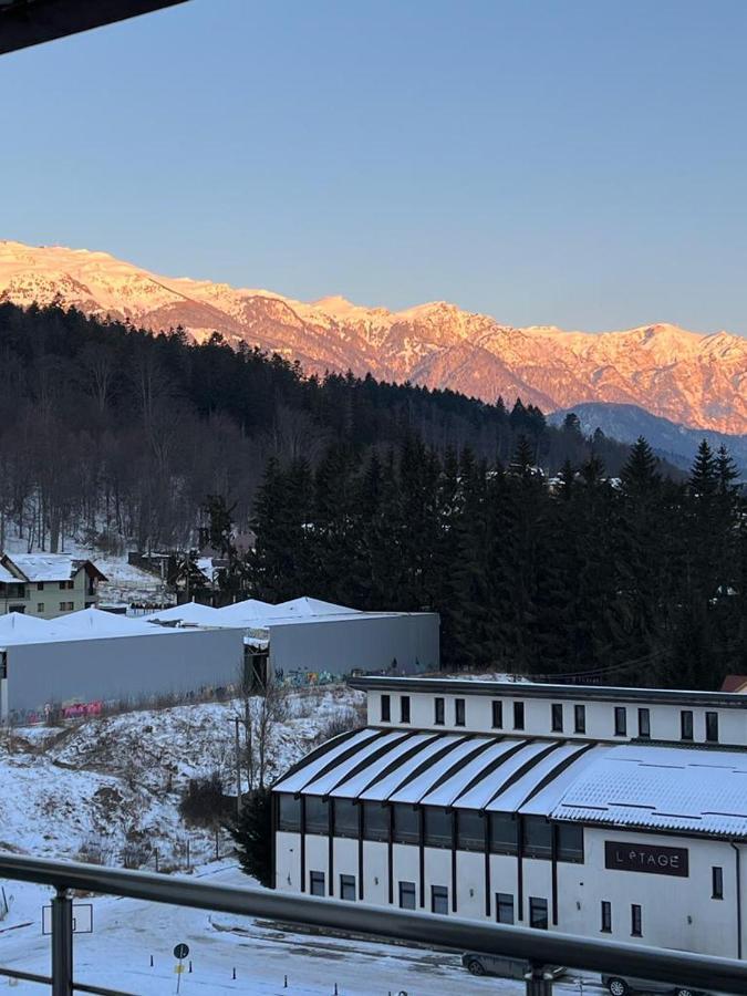 Coca Apart Mountain View 锡纳亚 外观 照片
