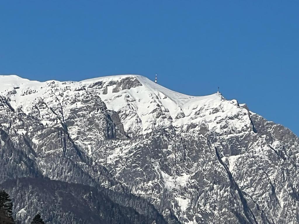 Coca Apart Mountain View 锡纳亚 外观 照片