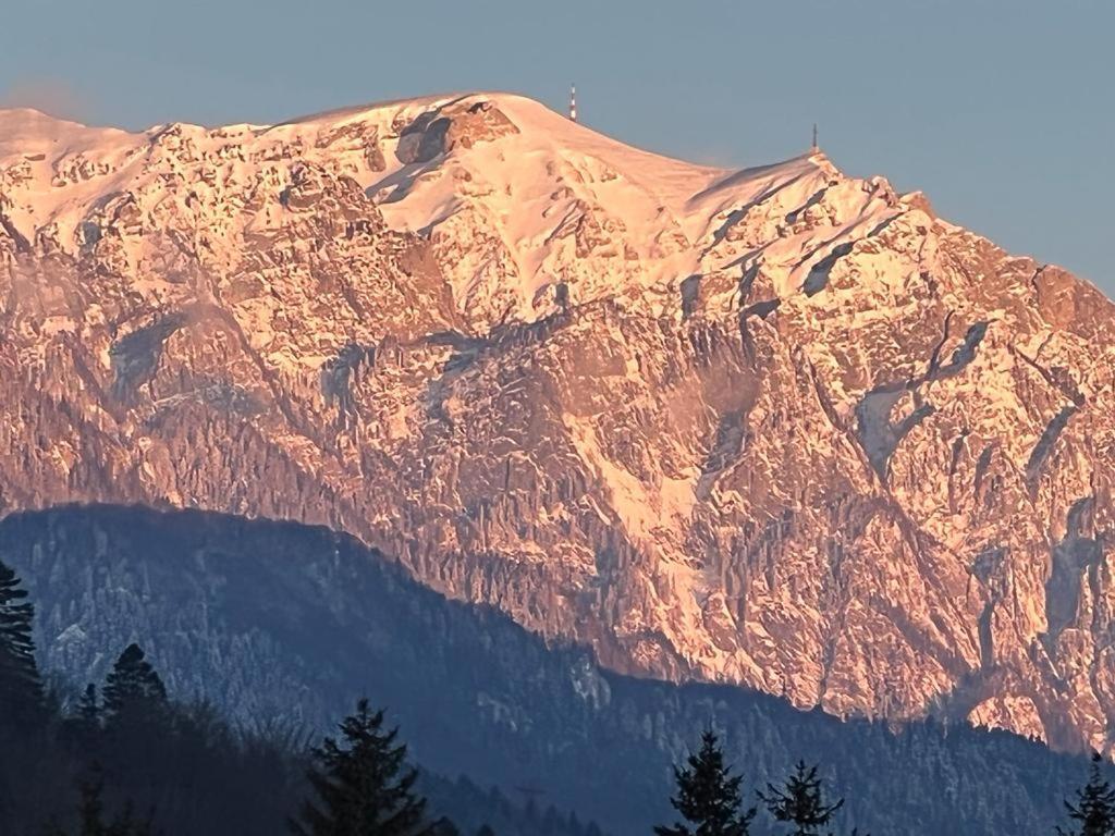 Coca Apart Mountain View 锡纳亚 外观 照片