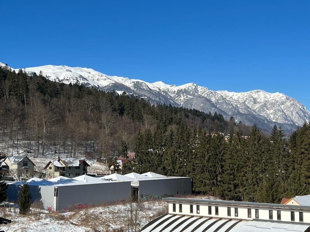 Coca Apart Mountain View 锡纳亚 外观 照片